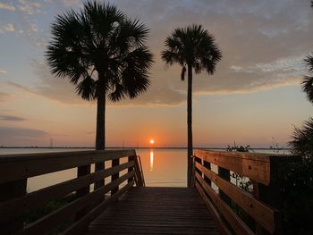 Silhouette palm trees by sea against sky during sunset