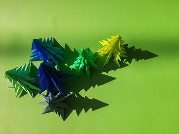 High angle view of leaves on table