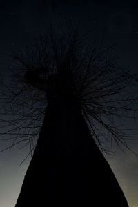 Low angle view of silhouette bare tree against sky at dusk