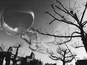 Low angle view of water drops on tree against sky