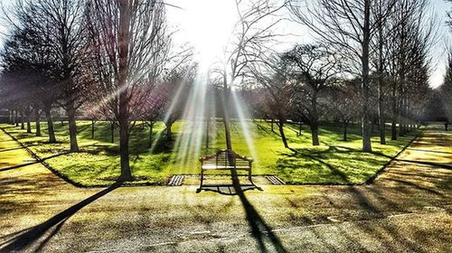 Empty bench in park