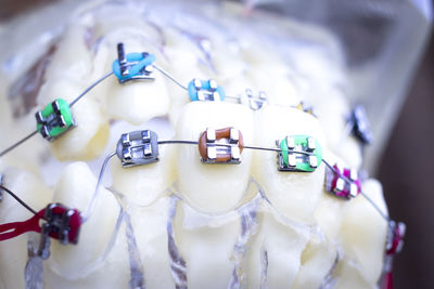 Close-up of artificial teeth