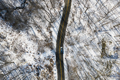 Bare trees on snow covered land