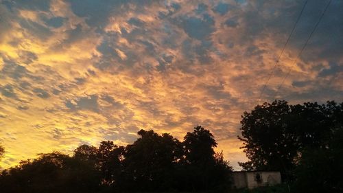 Silhouette trees against dramatic sky