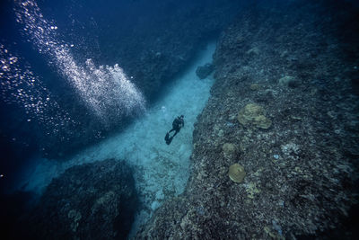 High angle view of scuba diver swimming undersea