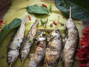 High angle view of fish on barbecue