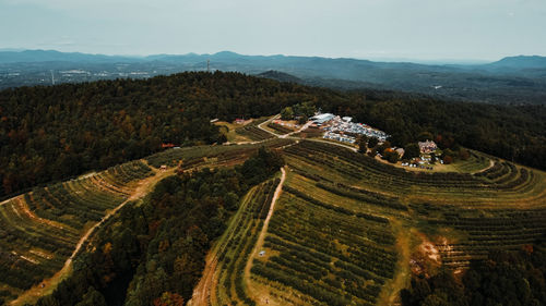 High angle view of vineyard against sky