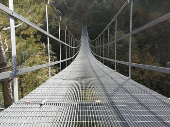 View of footbridge in forest