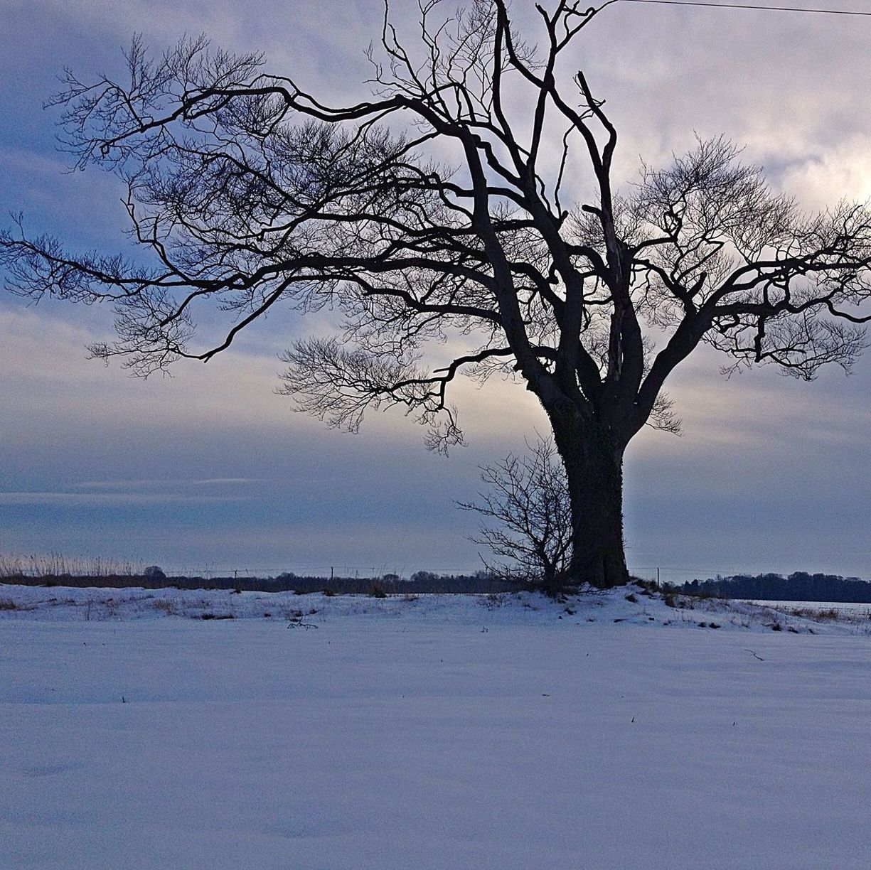 bare tree, tranquility, tranquil scene, branch, sky, tree, winter, scenics, cold temperature, beauty in nature, nature, water, snow, landscape, weather, silhouette, lake, cloud - sky, tree trunk, non-urban scene