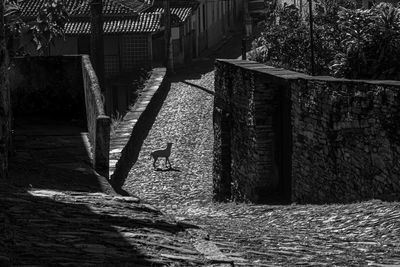 View of alley amidst buildings