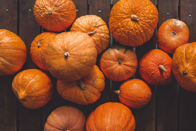 A bunch of ripe pumpkins lie on a wooden platform