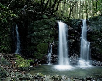 Scenic view of waterfall in forest