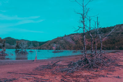 Scenic view of lake against blue sky