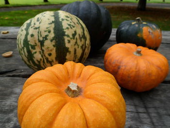 Close-up of pumpkin pumpkins on wood during autumn