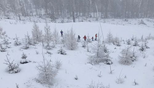 People on snow covered trees during winter
