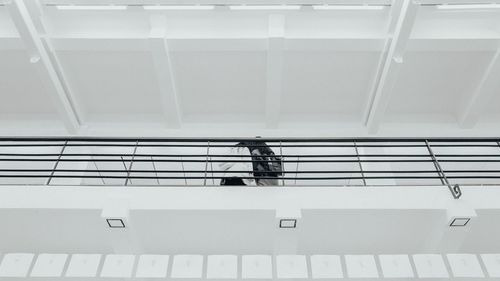 Low angle view of person sitting on staircase