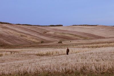 Rear view of man walking on field against clear sky