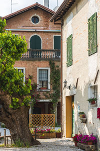 Potted plants outside building