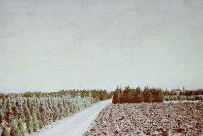 Pathway by farm against sky