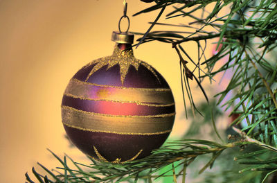 Close-up of christmas ornaments hanging on plant