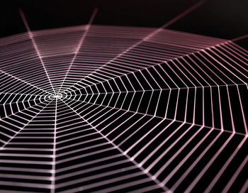 Full frame shot of spider web