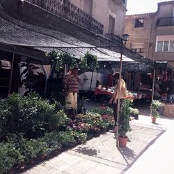 View of plants in front of building