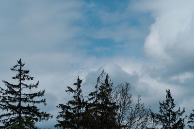 Low angle view of silhouette trees against sky during winter