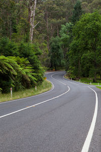 Road amidst trees in forest