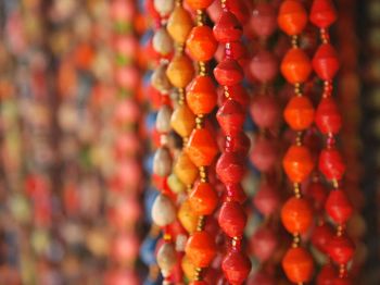 Close-up of red berries