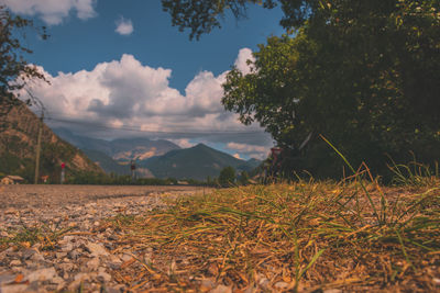 nature