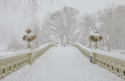 Snow covered footbridge against bare trees in central park