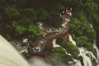 High angle view of people on boat against trees