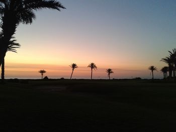 Silhouette palm trees on beach at sunset