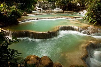 Scenic view of waterfall in forest