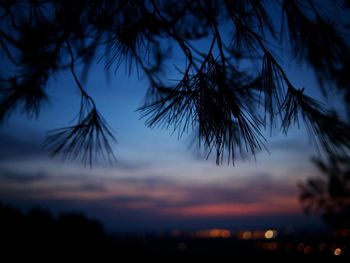 Silhouette trees against sky at sunset