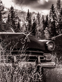 Abandoned car on grassy field