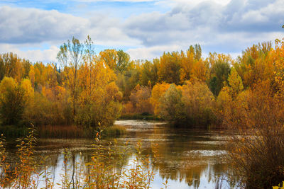 Scenic view of lake by trees against sky