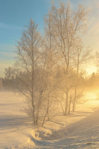 Bare trees on snow covered field against sky