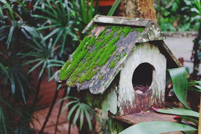 Close-up of birdhouse on tree