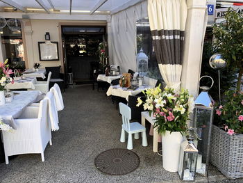 Potted plants on table in restaurant