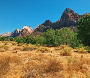 Scenic view of landscape against clear sky
