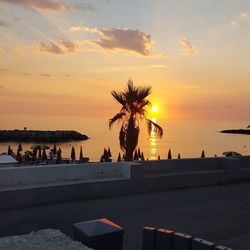 Silhouette palm tree by sea against sky during sunset