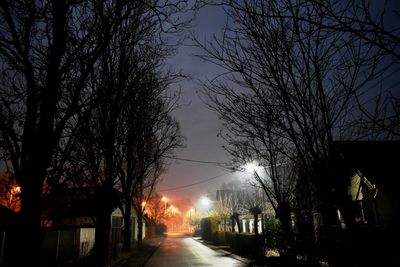 Street amidst trees against sky at night