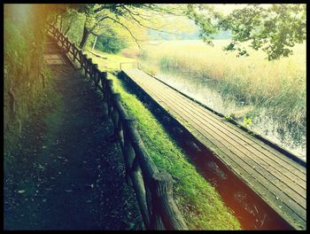 View of trees and plants