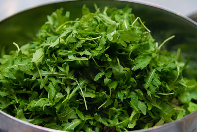 Close-up of salad