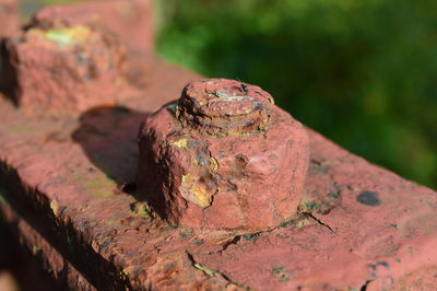 Close-up of rusty metal