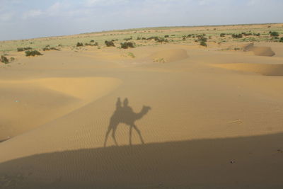 Shadow of people riding on camel seen in sand at desert