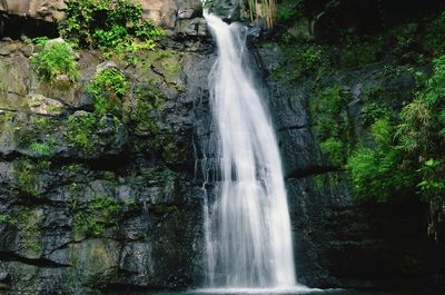 Scenic view of waterfall in forest