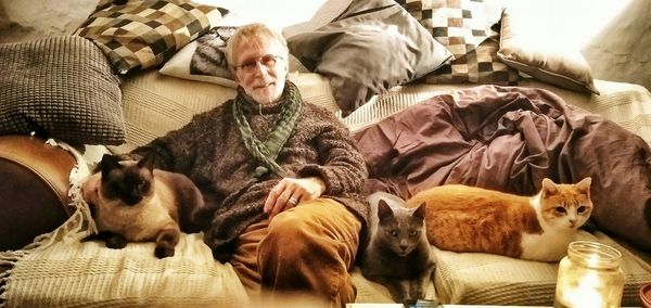 View of cats relaxing on bed