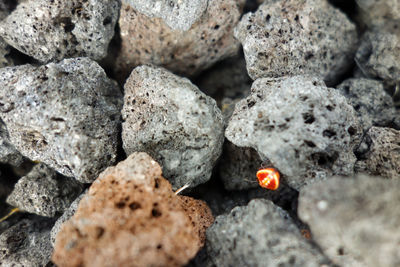 Full frame shot of stones